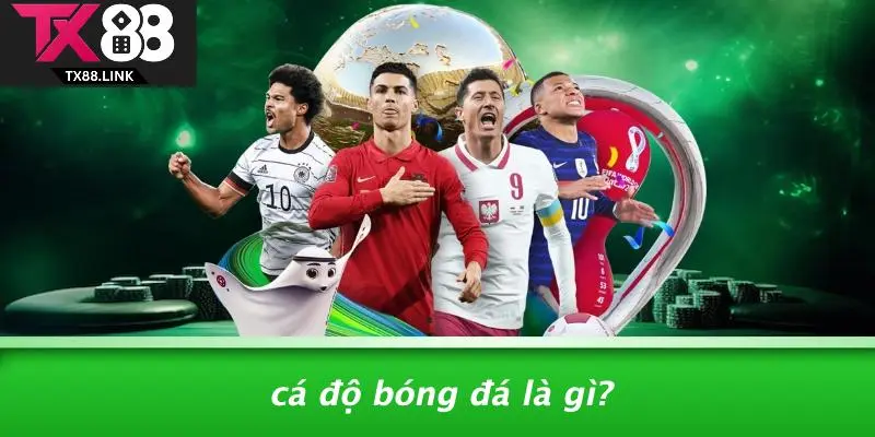 THUẬT NGỮ CÁ ĐỘ BÓNG ĐÁ: KHÁI NIỆM VÀNG CHO CHIẾN THẮNG 2 Cá Độ Bóng Đá Là Gì?