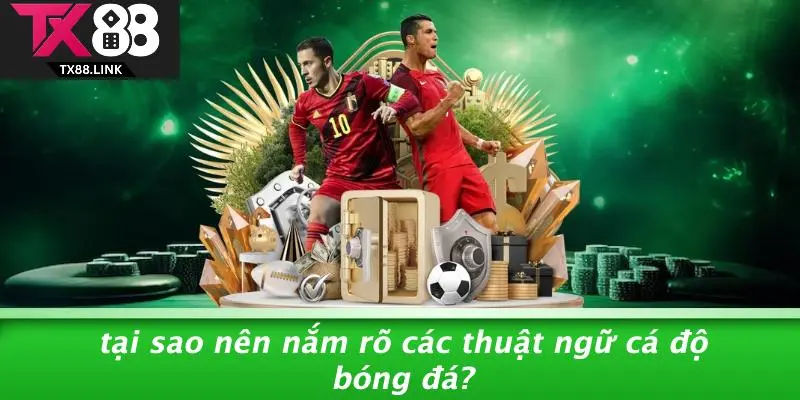 THUẬT NGỮ CÁ ĐỘ BÓNG ĐÁ: KHÁI NIỆM VÀNG CHO CHIẾN THẮNG 4 Tại Sao Nên Nắm Rõ Các Thuật Ngữ Cá Độ Bóng Đá?